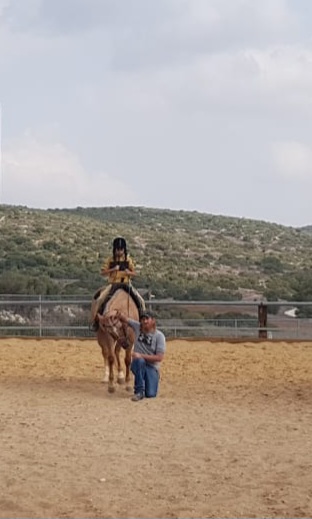 #1 Equine Assisted Therapy Web Page