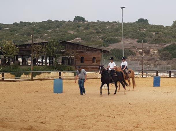 #4 Equine Assisted Therapy Web Page